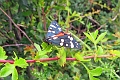 07 07 16_8594_edited-2